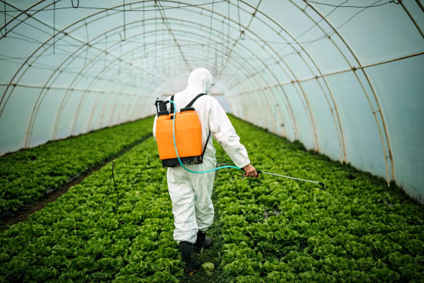 Best Affordable Pest Control Services  in Mount Vernon, MD
