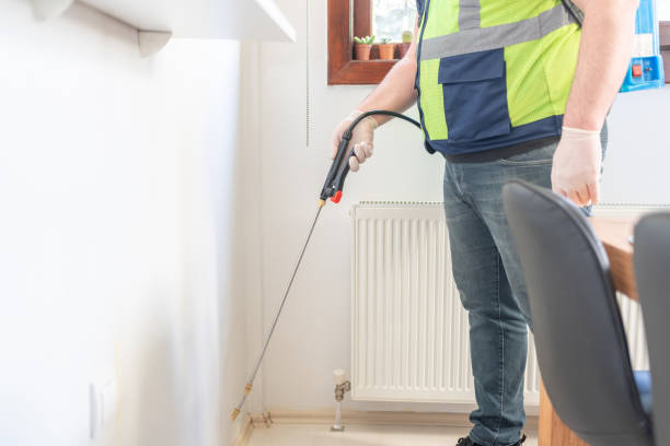 Best Termite Control Services  in Mount Vernon, MD