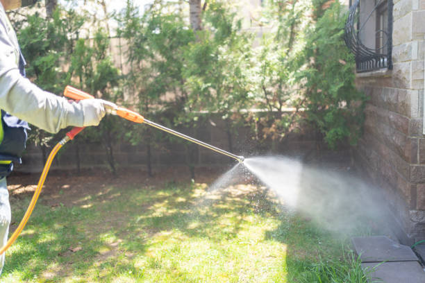 Professional Pest Control in Mount Vernon, MD